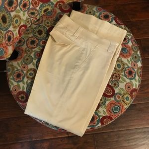 Cache' Dress Pants, Flare, Silky feeling